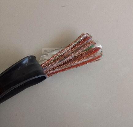 ZR-DJYPVP計算機(jī)電纜1*2*1.0